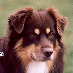 balu