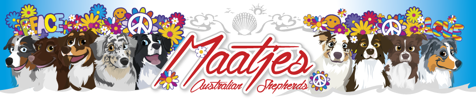 Maatjes Aussies