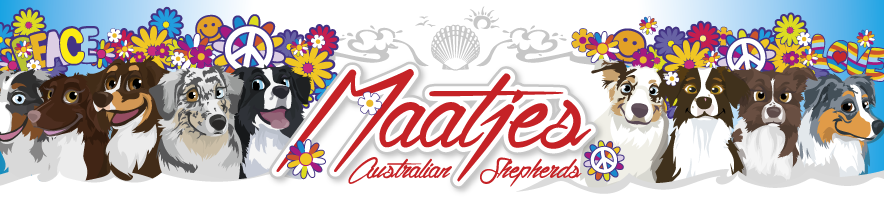 Maatjes Aussies